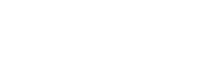 Altinet Logo